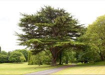 Property Ref-10188
