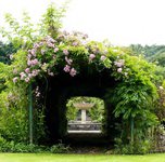 Property Ref-10188