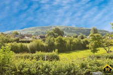 Property Ref-13350