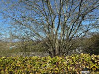 Property Ref-14800
