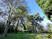 Property Ref-14870
