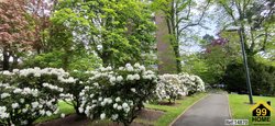 Property Ref-14870