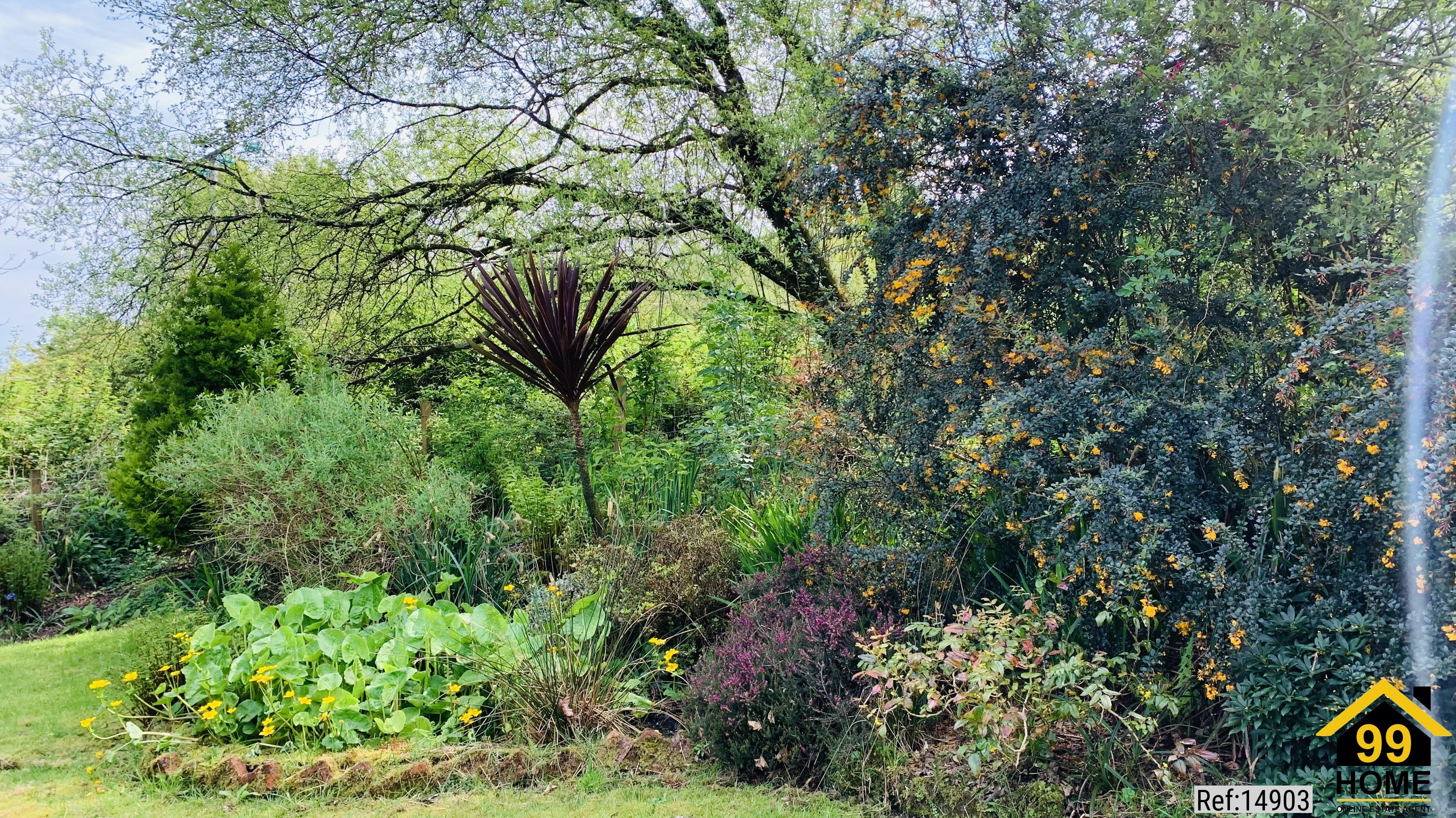 Property Ref-14903