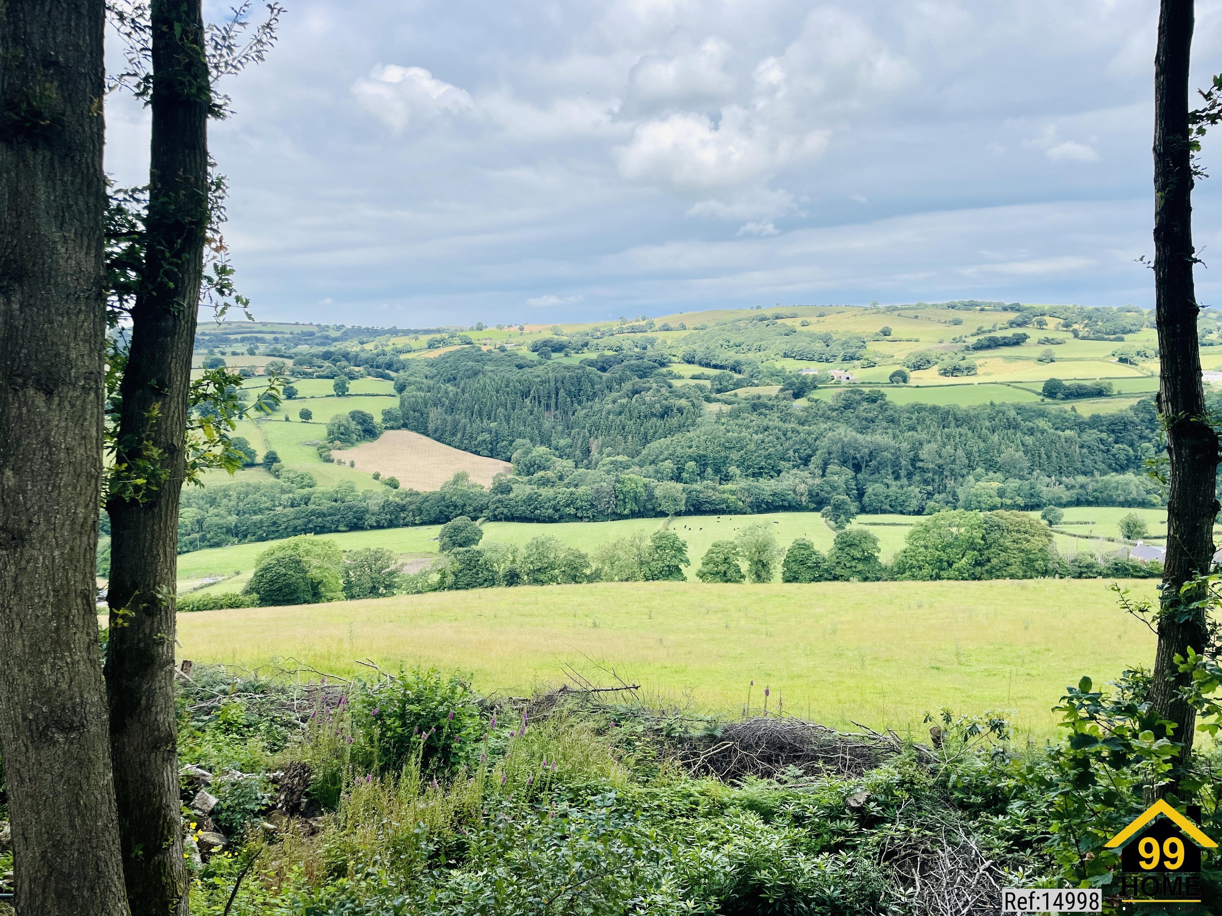 Property Ref-14998