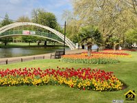 Property Ref-15275
