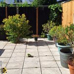 Property Ref-15397