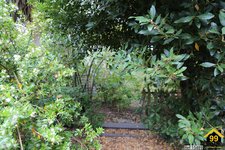 Property Ref-15489
