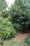 Property Ref-15489