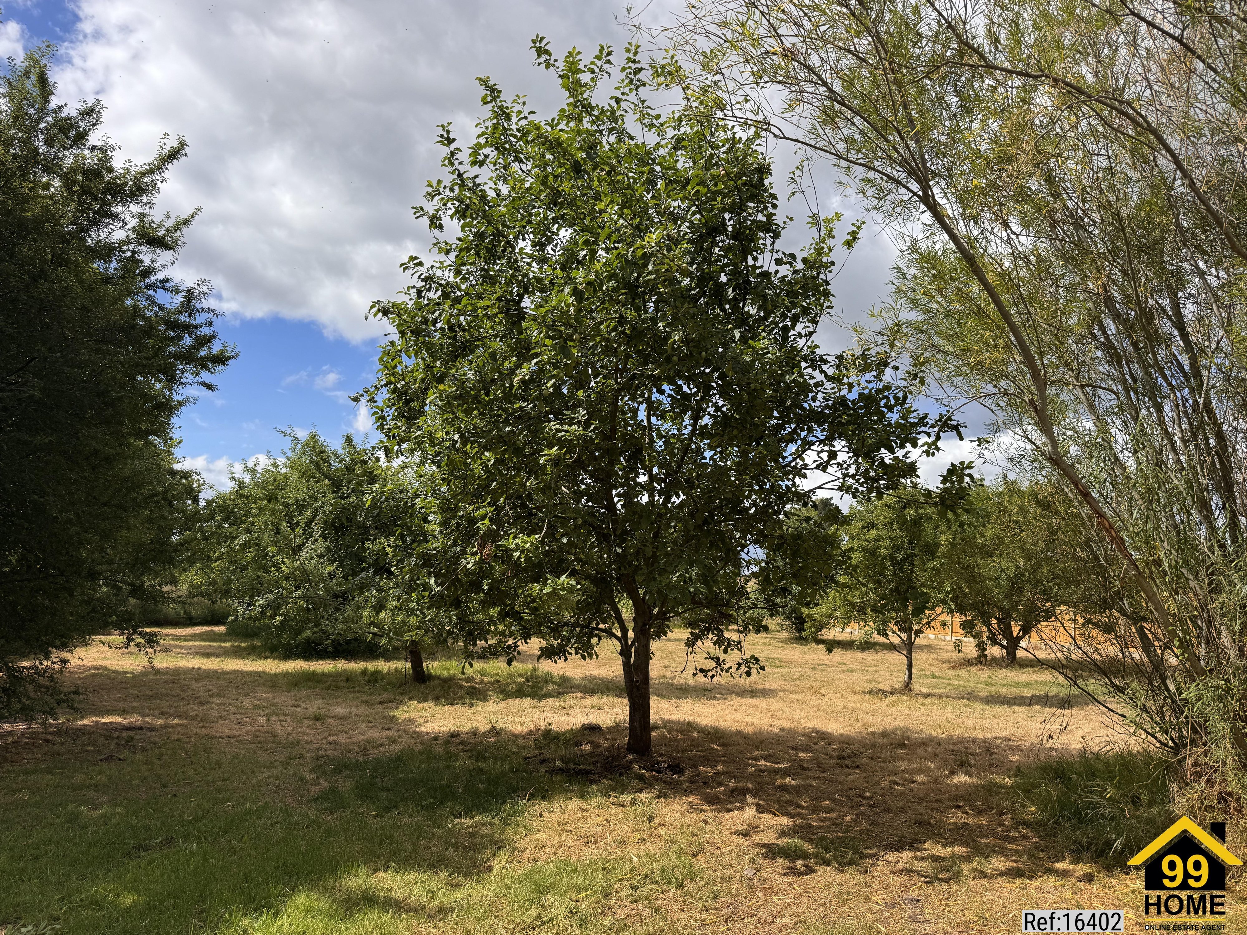 Property Ref-16402