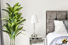 Property Ref-16671