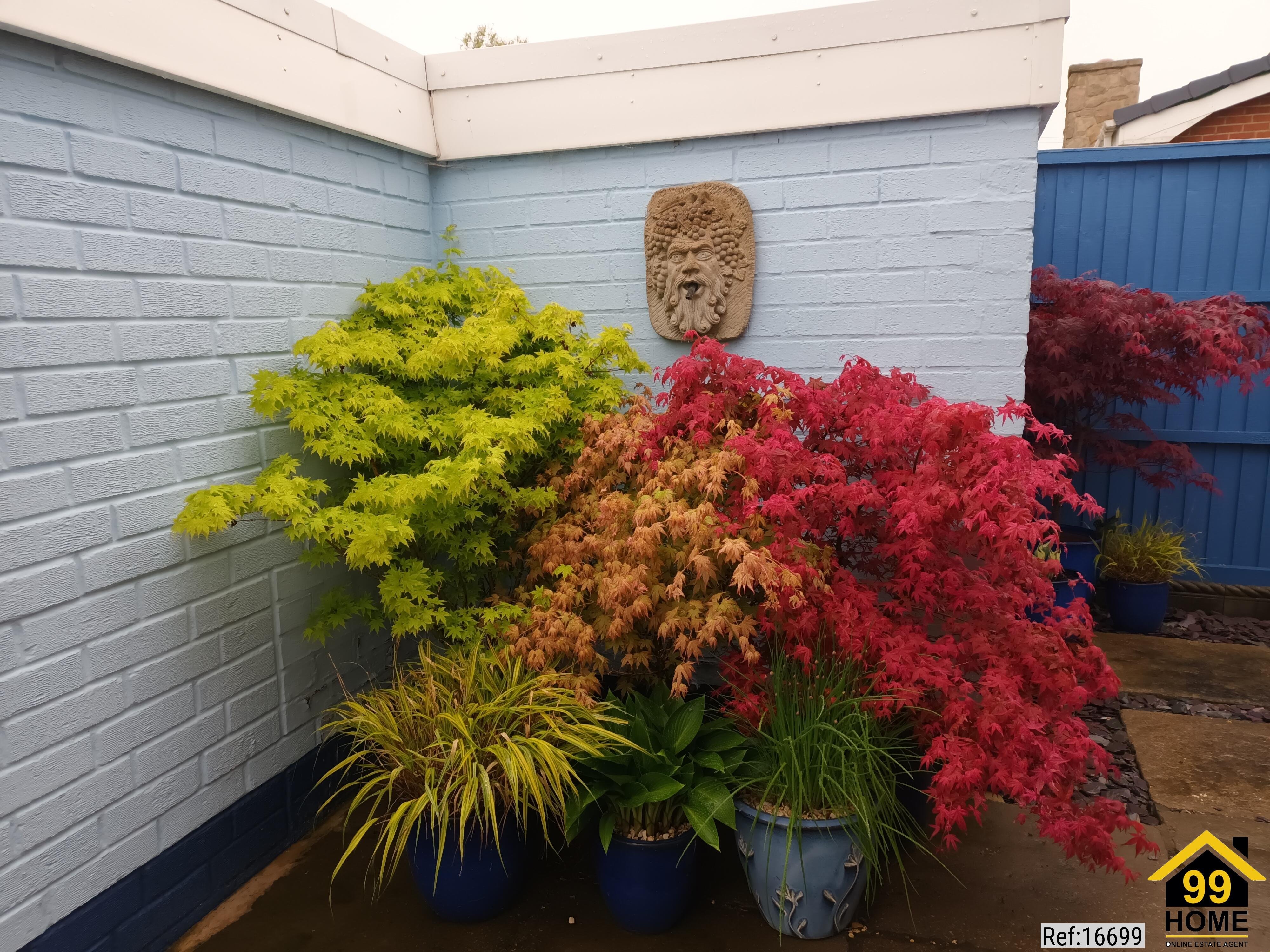 Property Ref-16699