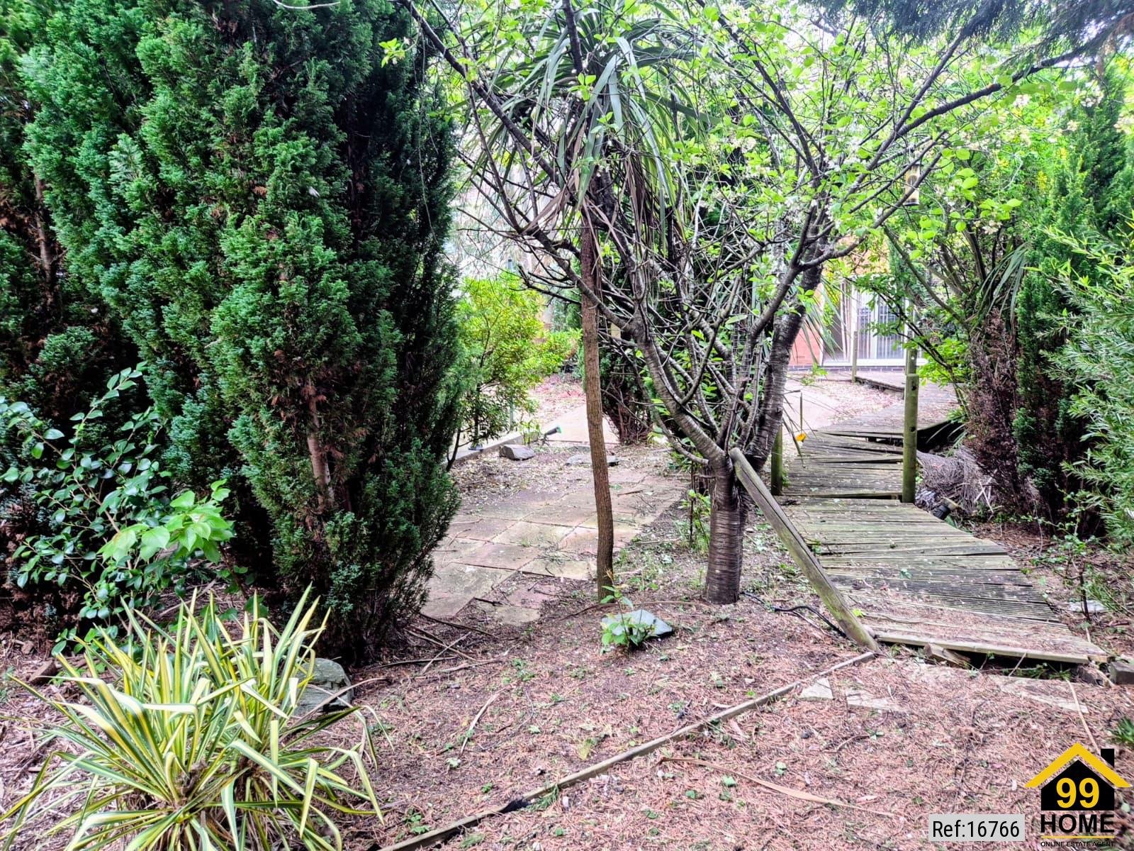 Property Ref-16766