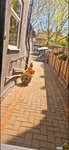 Property Ref-16773
