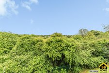 Property Ref-16906