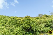 Property Ref-16906