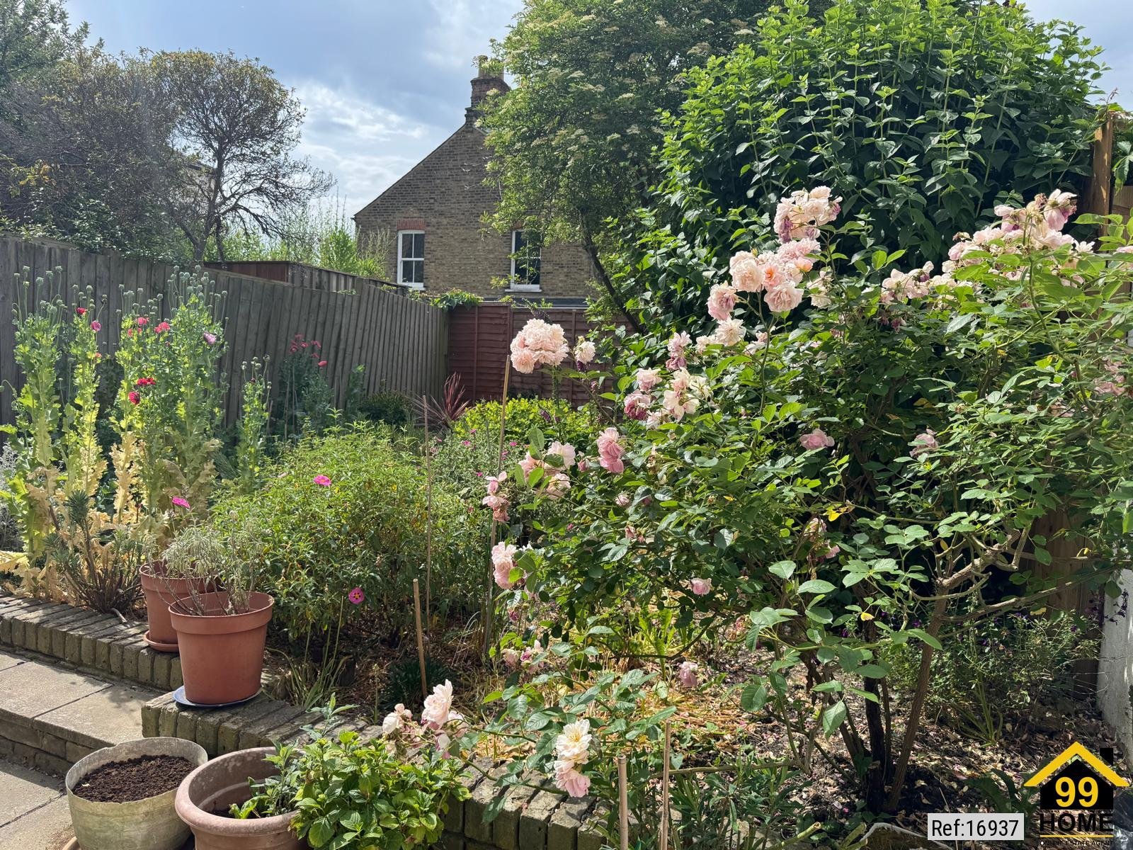 Property Ref-16937