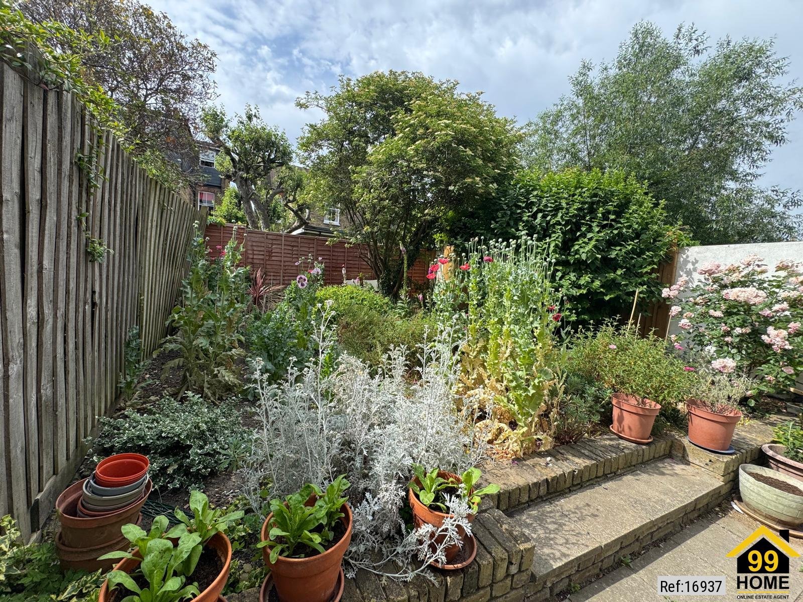 Property Ref-16937