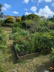 Property Ref-17018