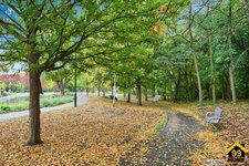 Property Ref-17060
