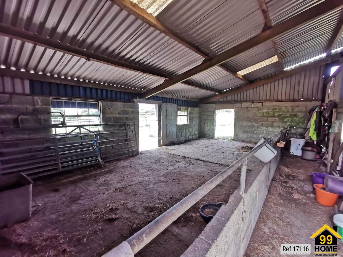Property Ref-17116