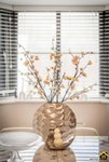 Property Ref-17123