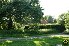 Property Ref-17309